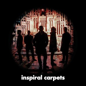 review marmozet carpetsB x1 cong