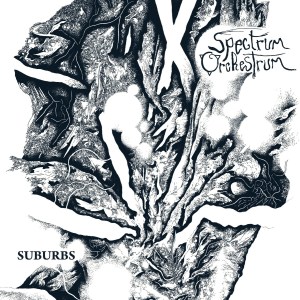 review spectrum x1 cong