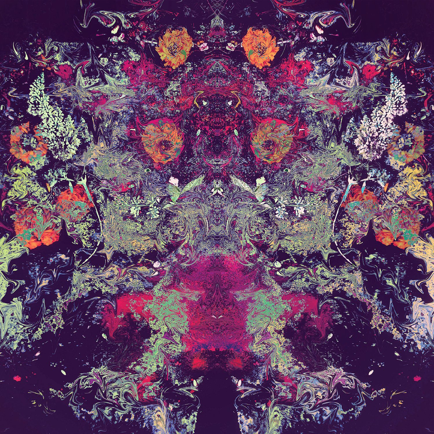 review emilie x1 cong