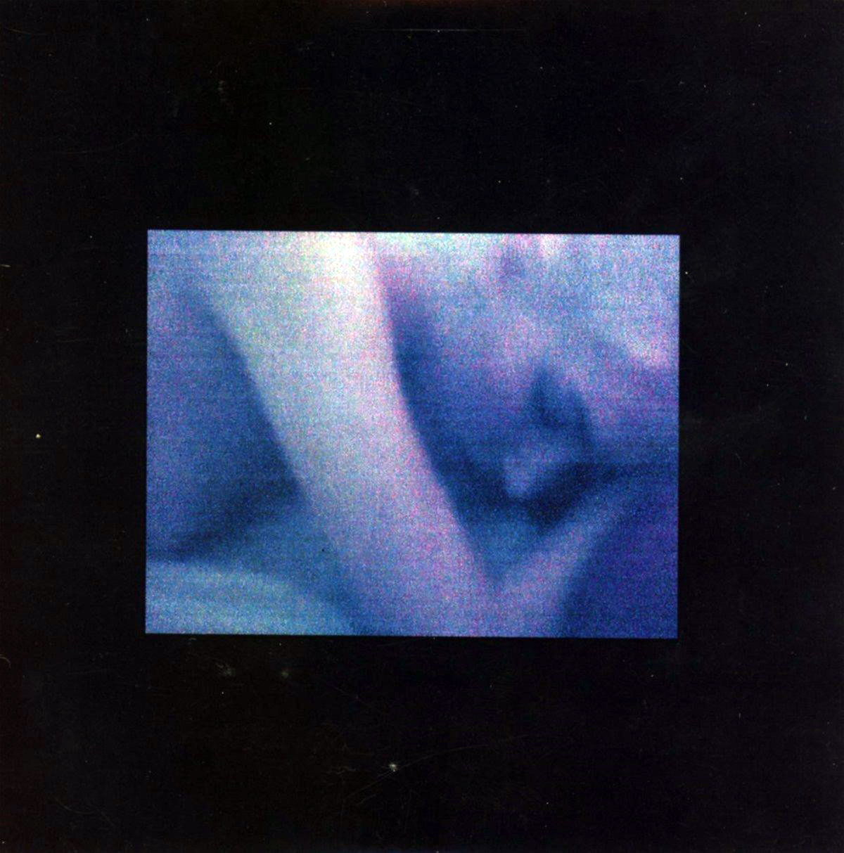 review moths x1 cong