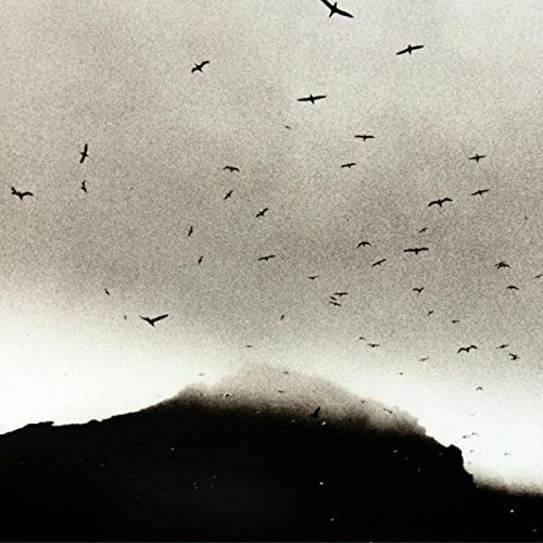 review drever x1 cong