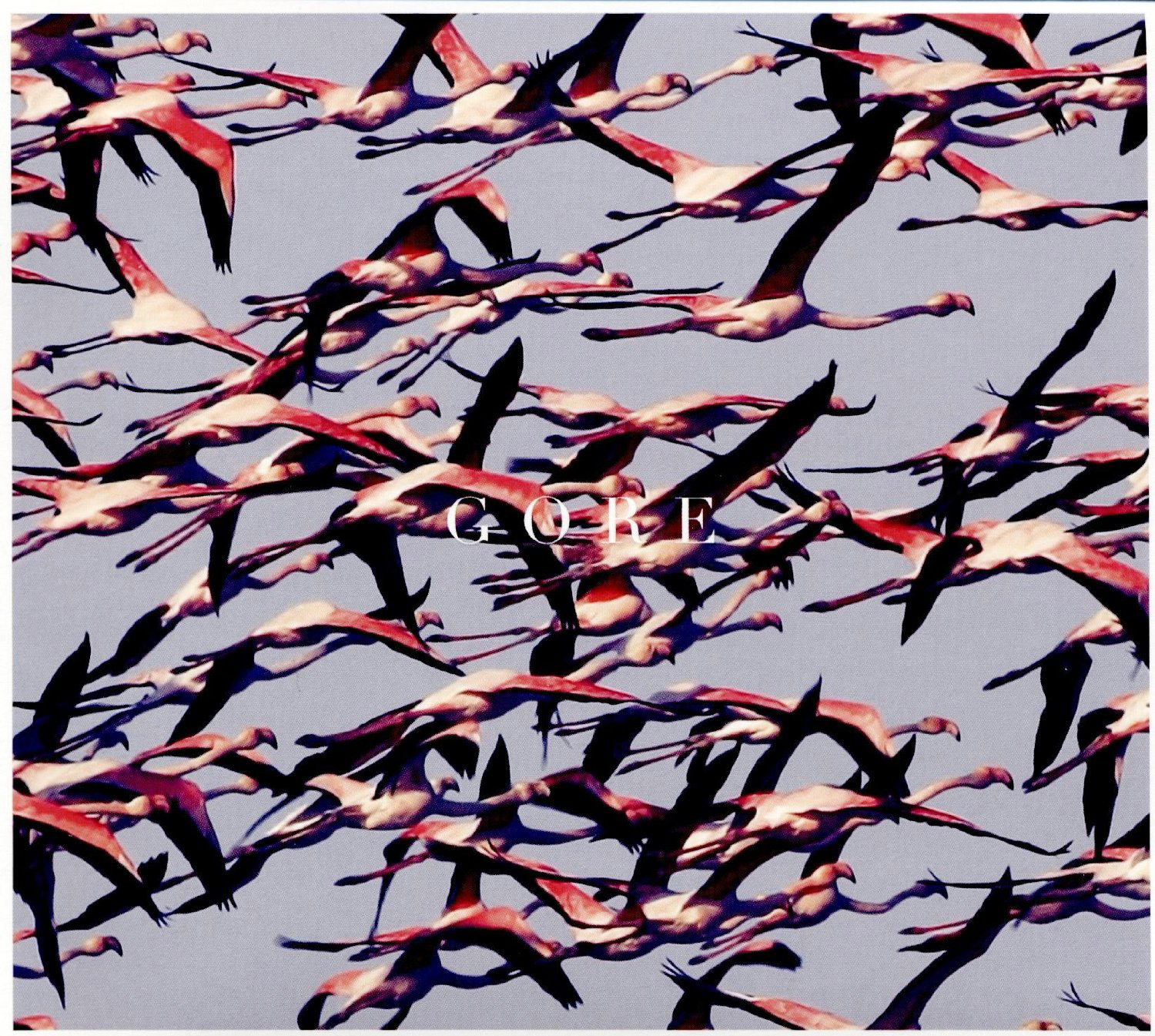 review deftones x1 cong