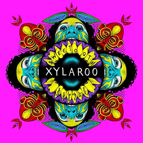 review-xylaroo-x1-cong