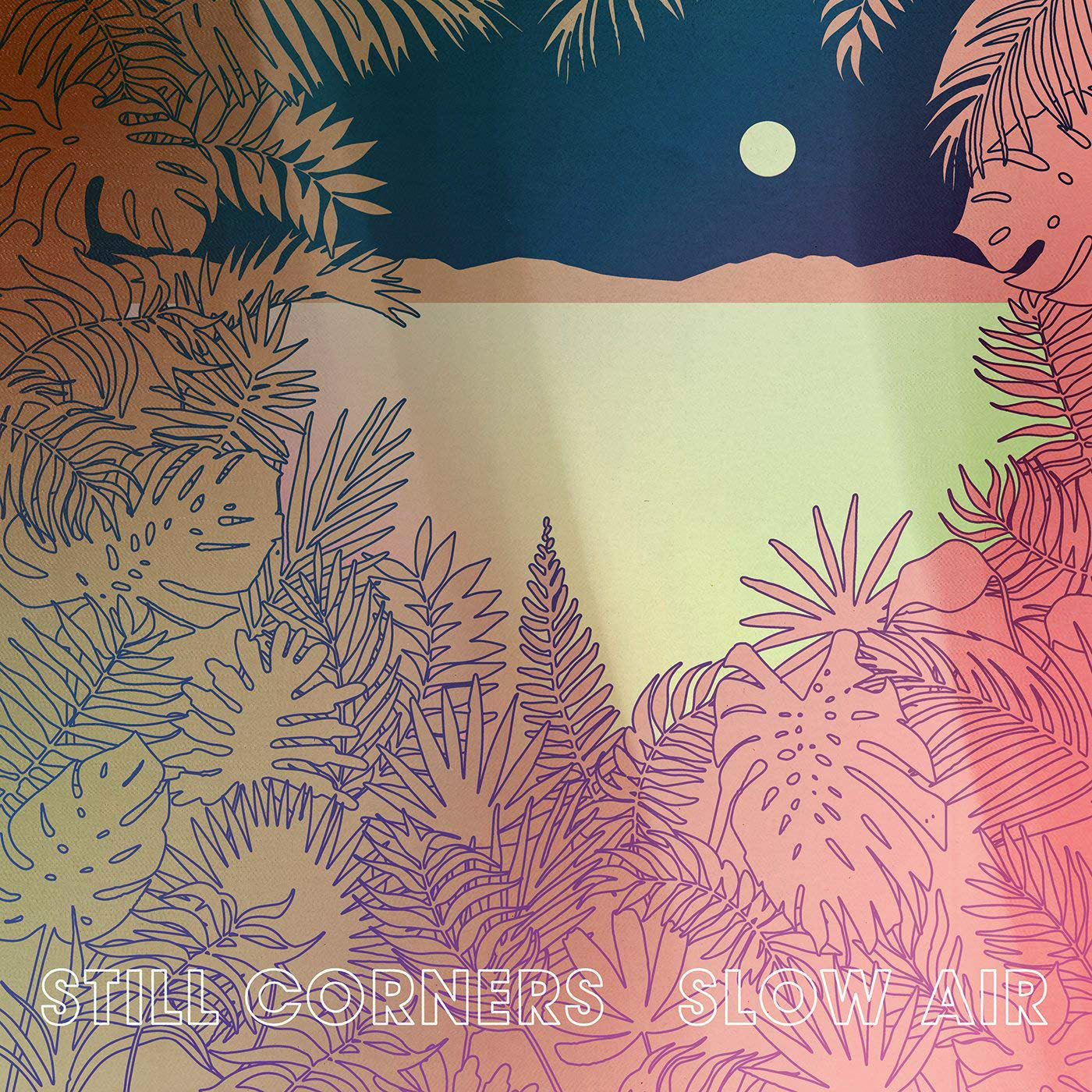 review still corners x1 cong