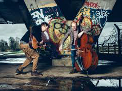 review ward parker x1 cong